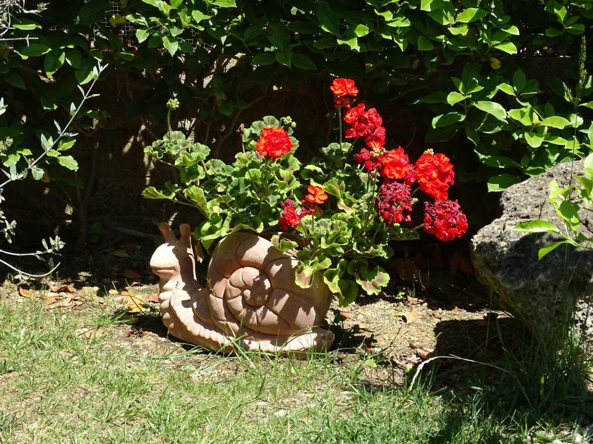 B&B La Dolce Vita Marsiliana Εξωτερικό φωτογραφία