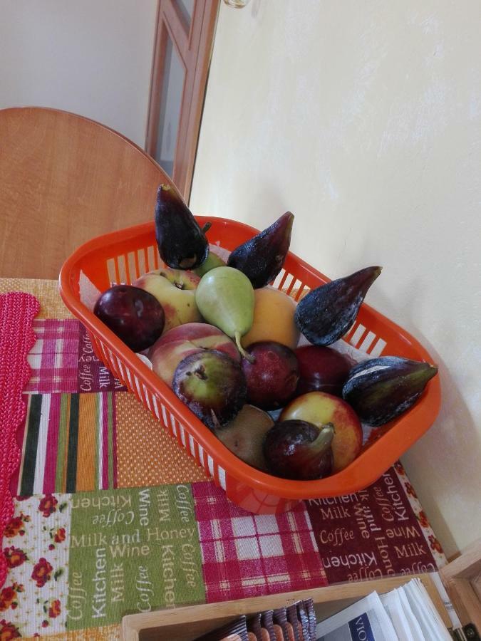 B&B La Dolce Vita Marsiliana Εξωτερικό φωτογραφία